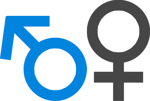 SoloTouch Plus Logo